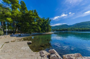 Apartment in Stari Grad (Hvar) with Balcony, Air condition, WIFI, Dishwasher (3695-1)